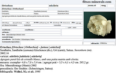 Orthoclase (variety adular), Chlorite