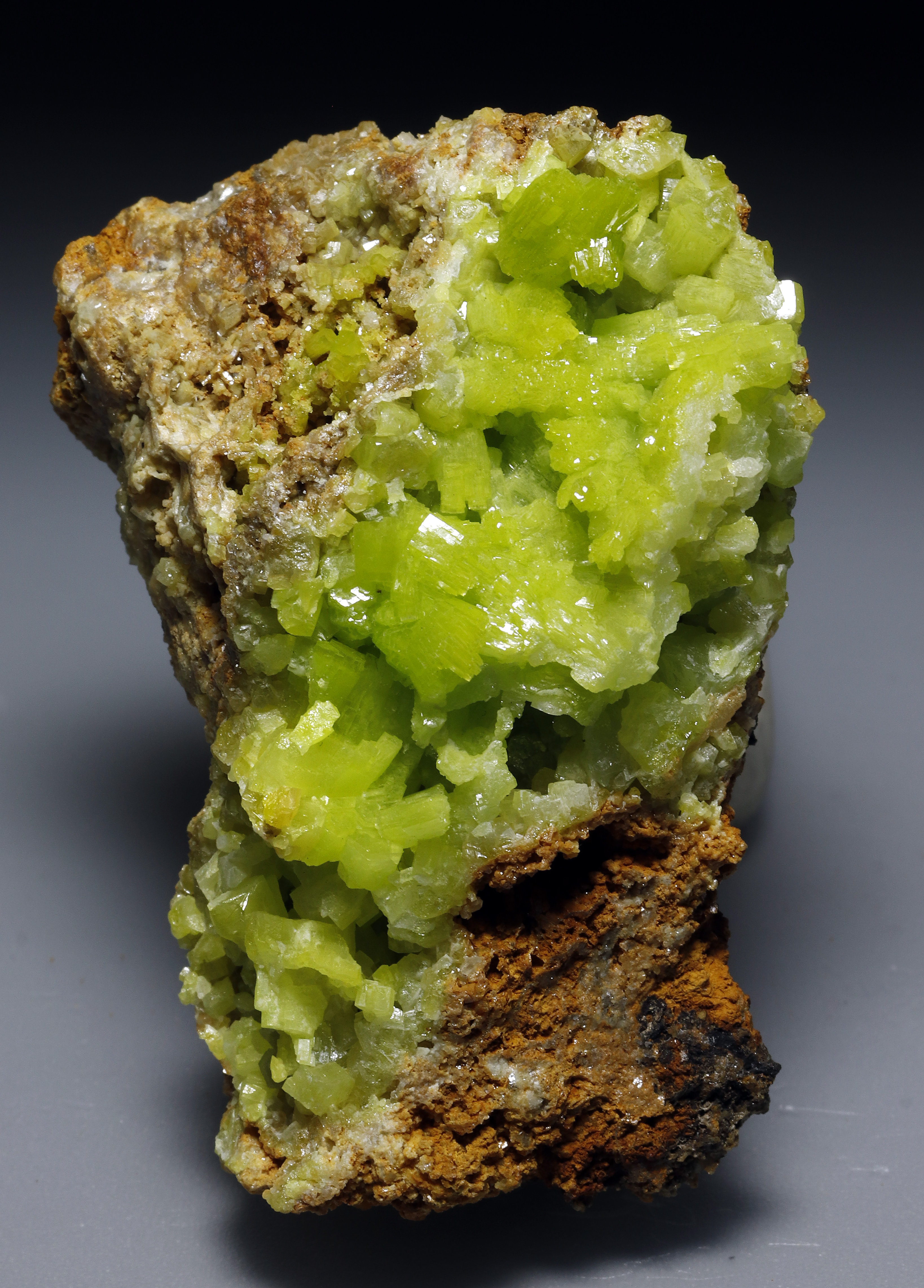 specimens/s_imagesCM/Piromorfita-4N10-1.jpg