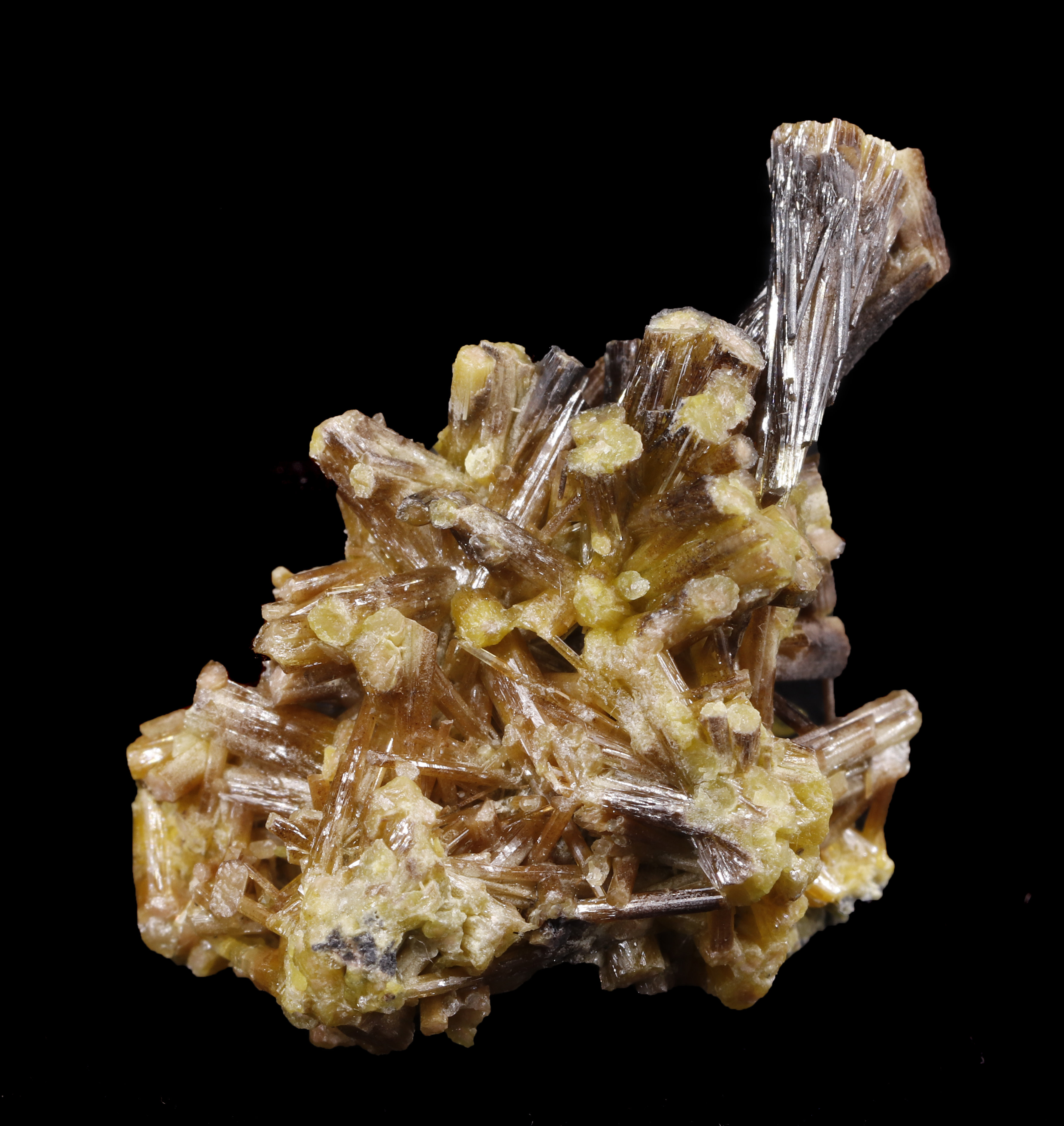 specimens/s_imagesCM/Piromorfita-7NH110.jpg
