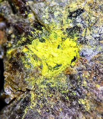 Pottsite. Binocular view 20X