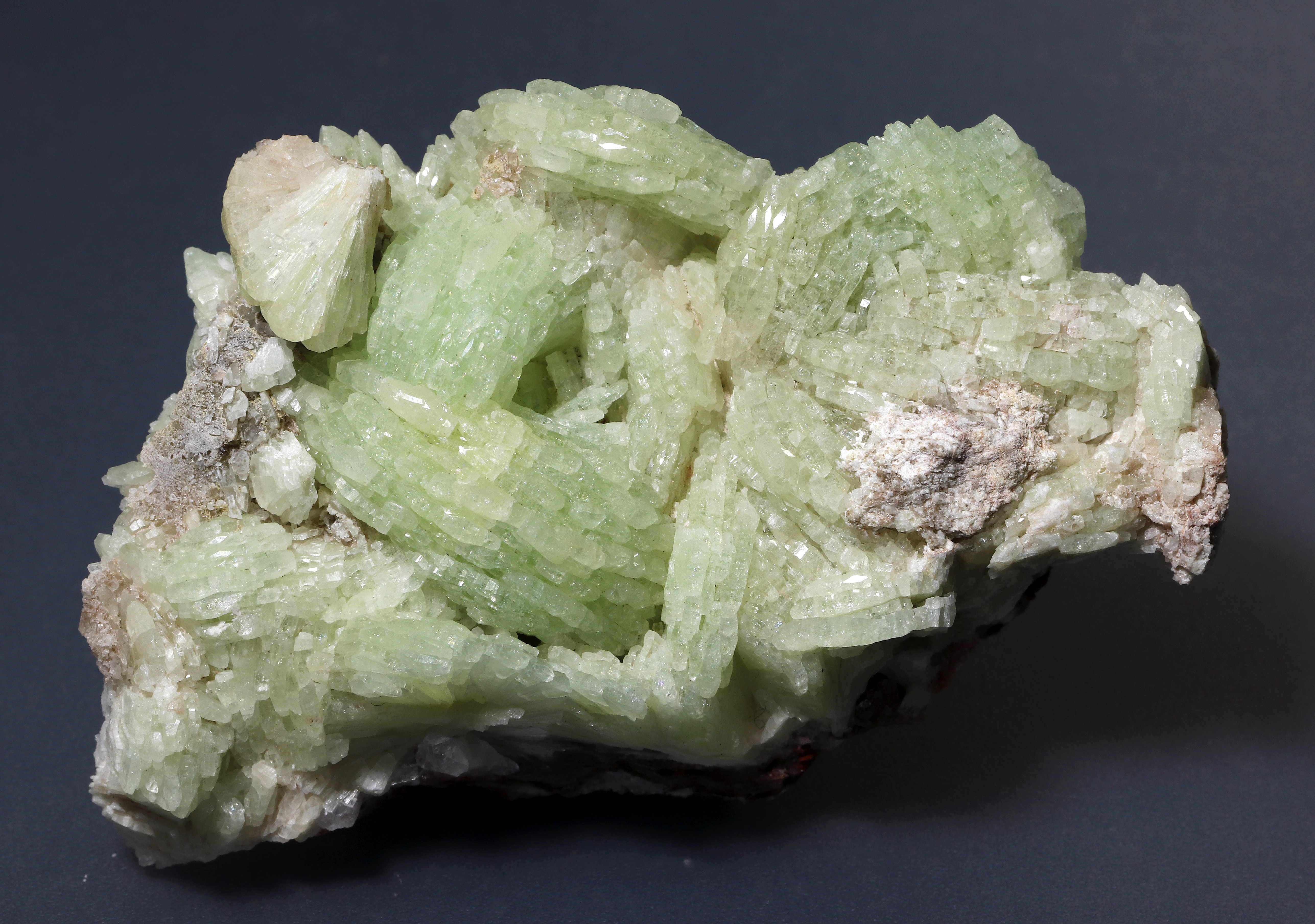 specimens/s_imagesCM/Prehnita-2M76.jpg