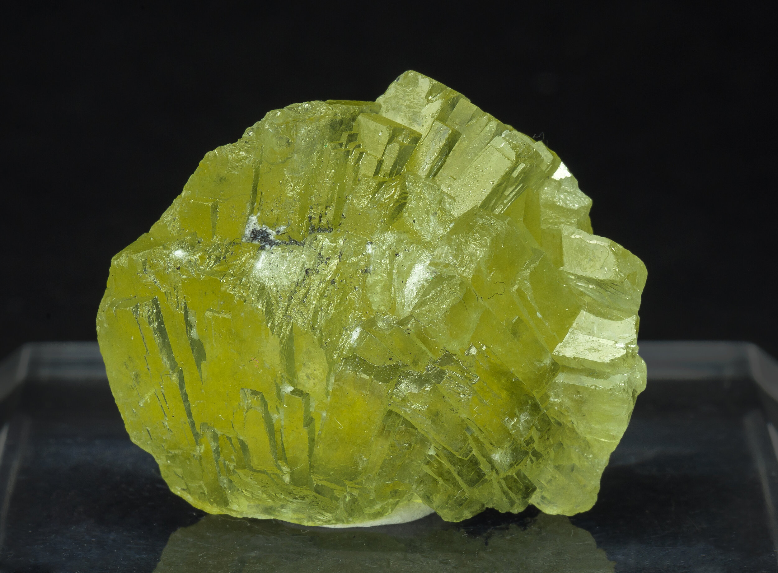 specimens/s_imagesCM/Prehnite-17MRP65_f.jpg
