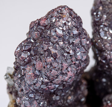 Proustite on Acanthite. Detail