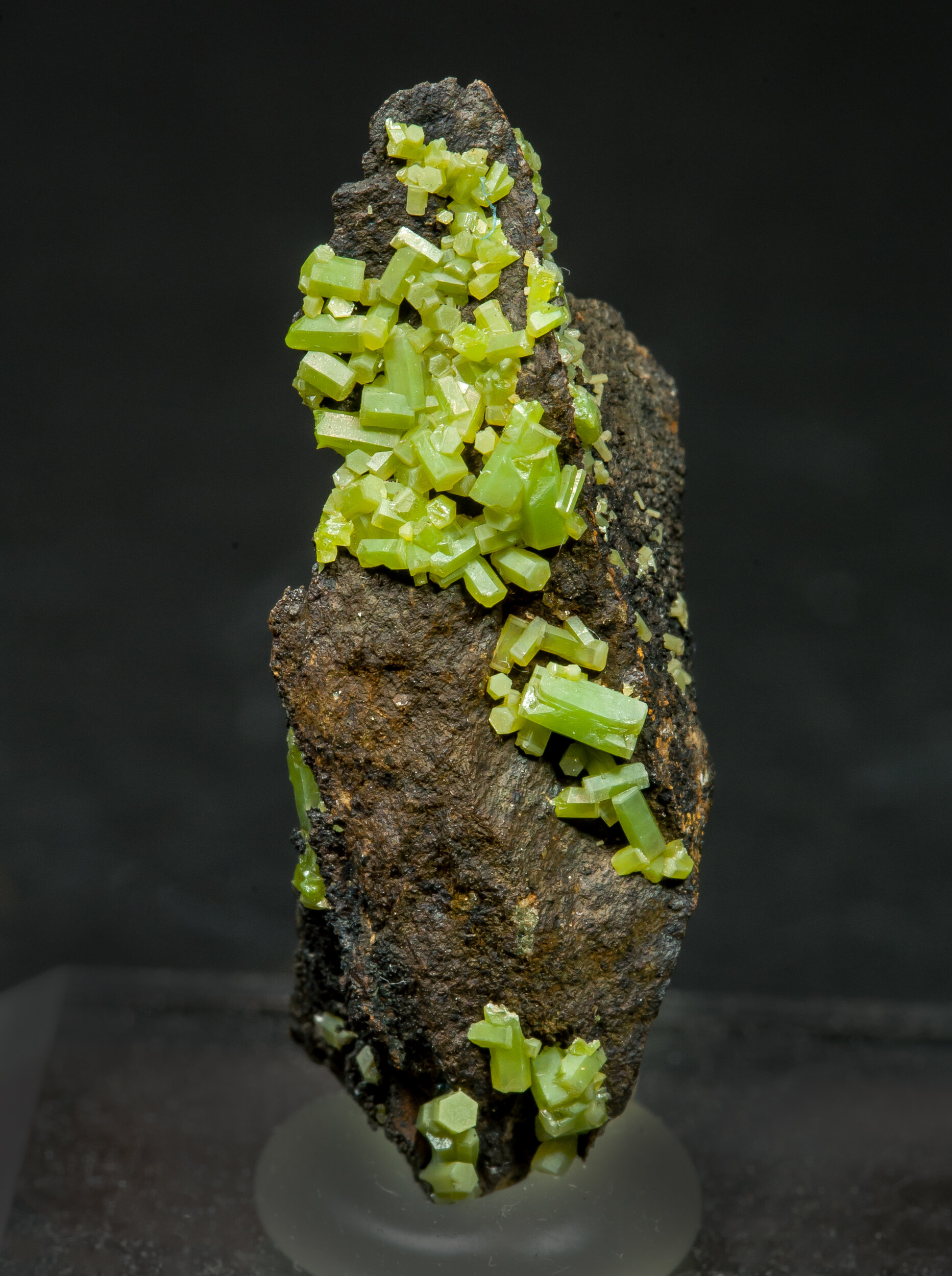 specimens/s_imagesCM/Pyromorphite-10MC8-1.jpg