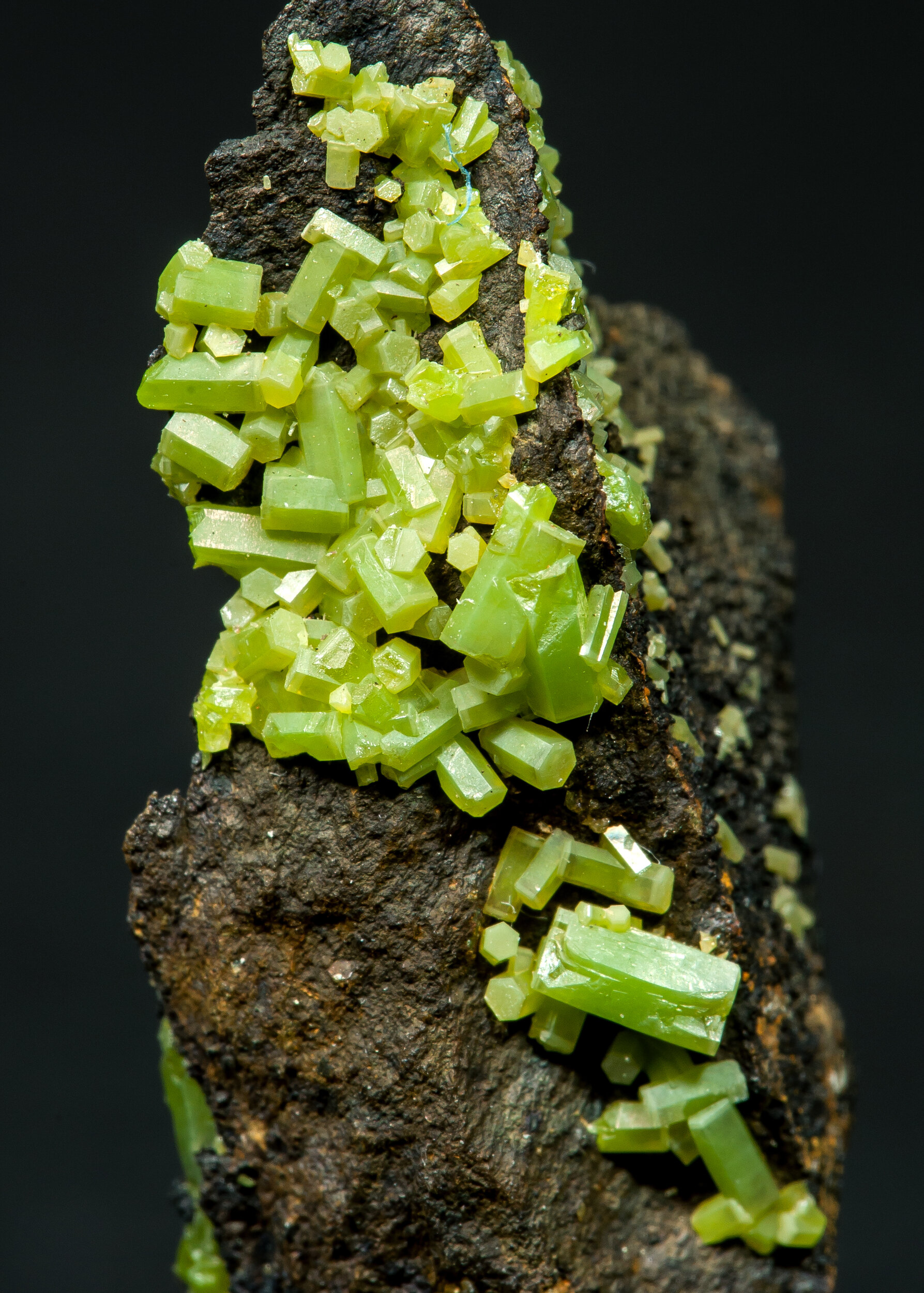 specimens/s_imagesCM/Pyromorphite-10MC8-2.jpg