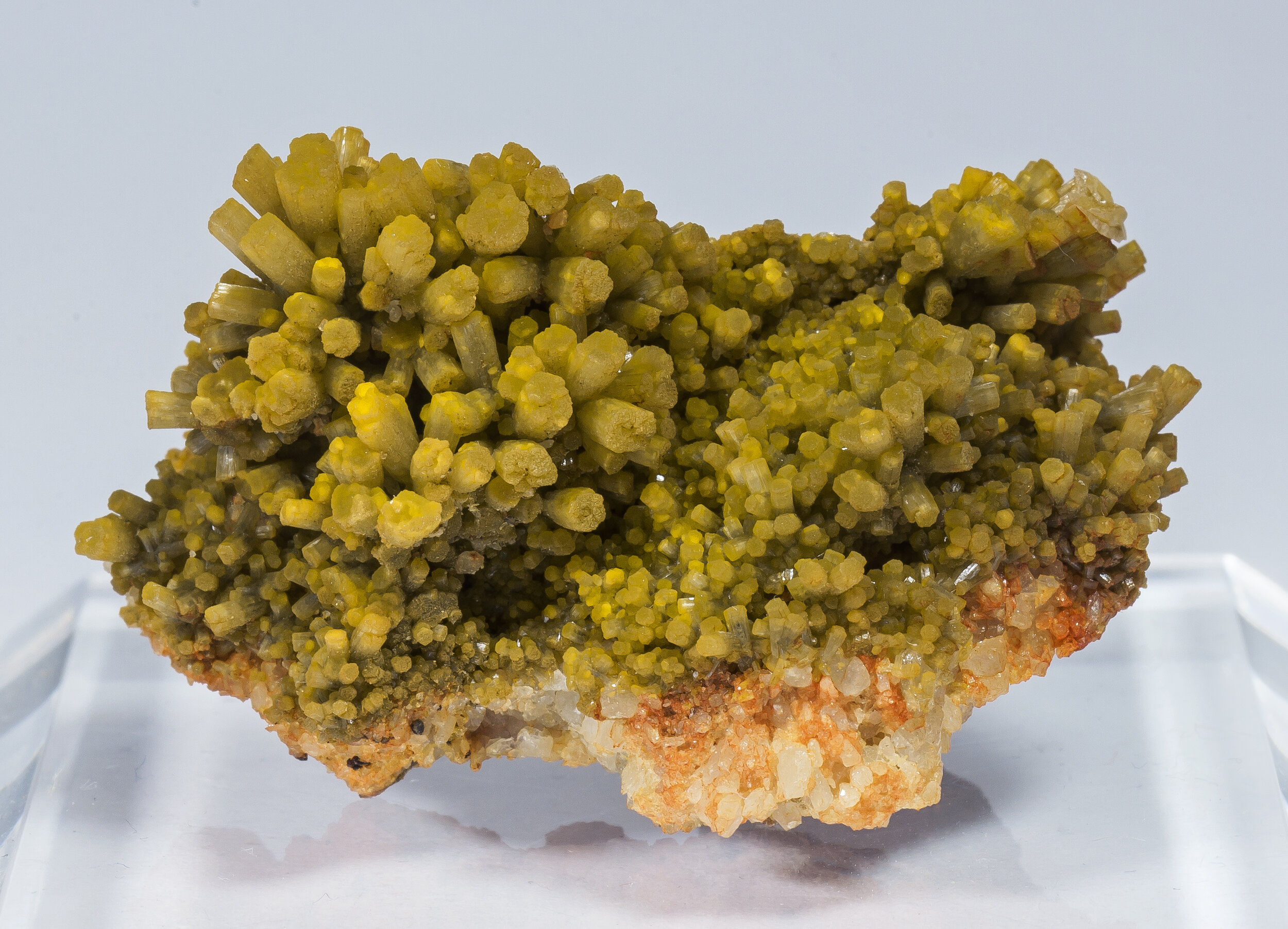 specimens/s_imagesCM/Pyromorphite-11EM1404_f.jpg