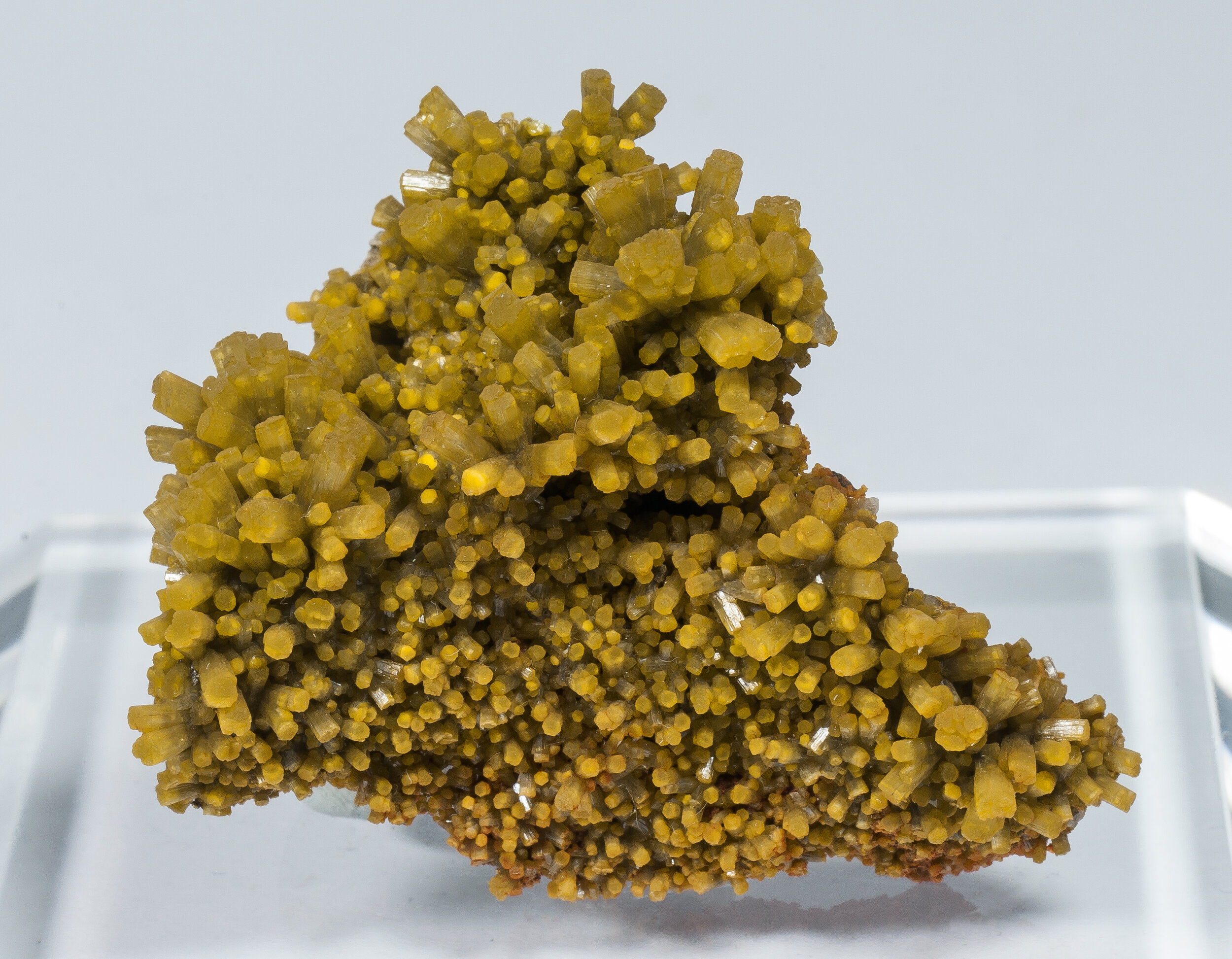 specimens/s_imagesCM/Pyromorphite-11EP80_f.jpg