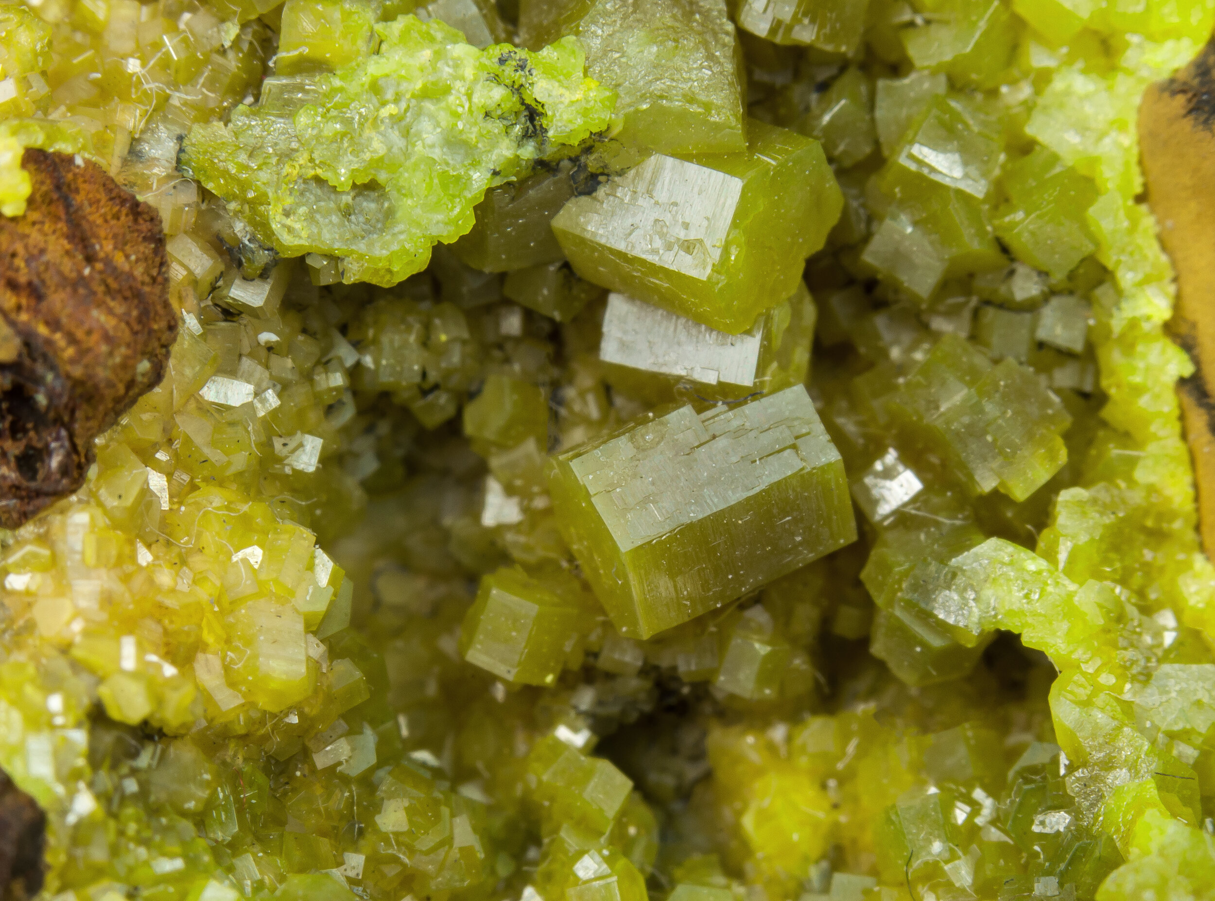 specimens/s_imagesCM/Pyromorphite-21NKX150_d.jpg