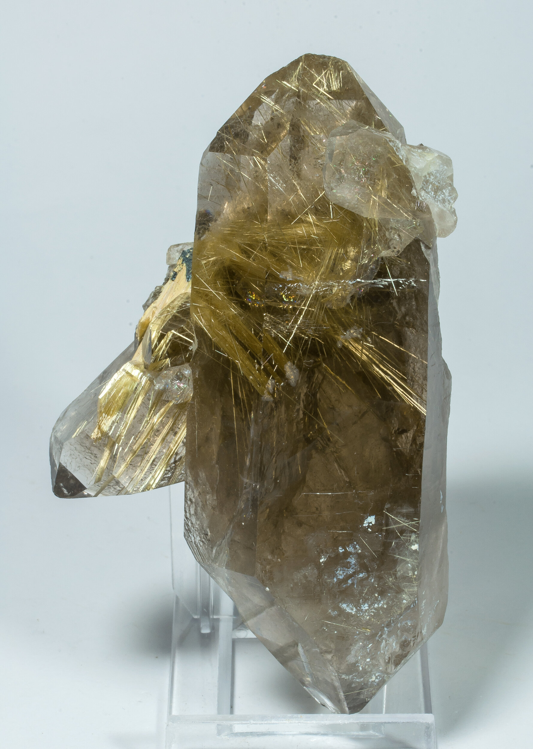 specimens/s_imagesCM/Quartz-11ER72-f.jpg