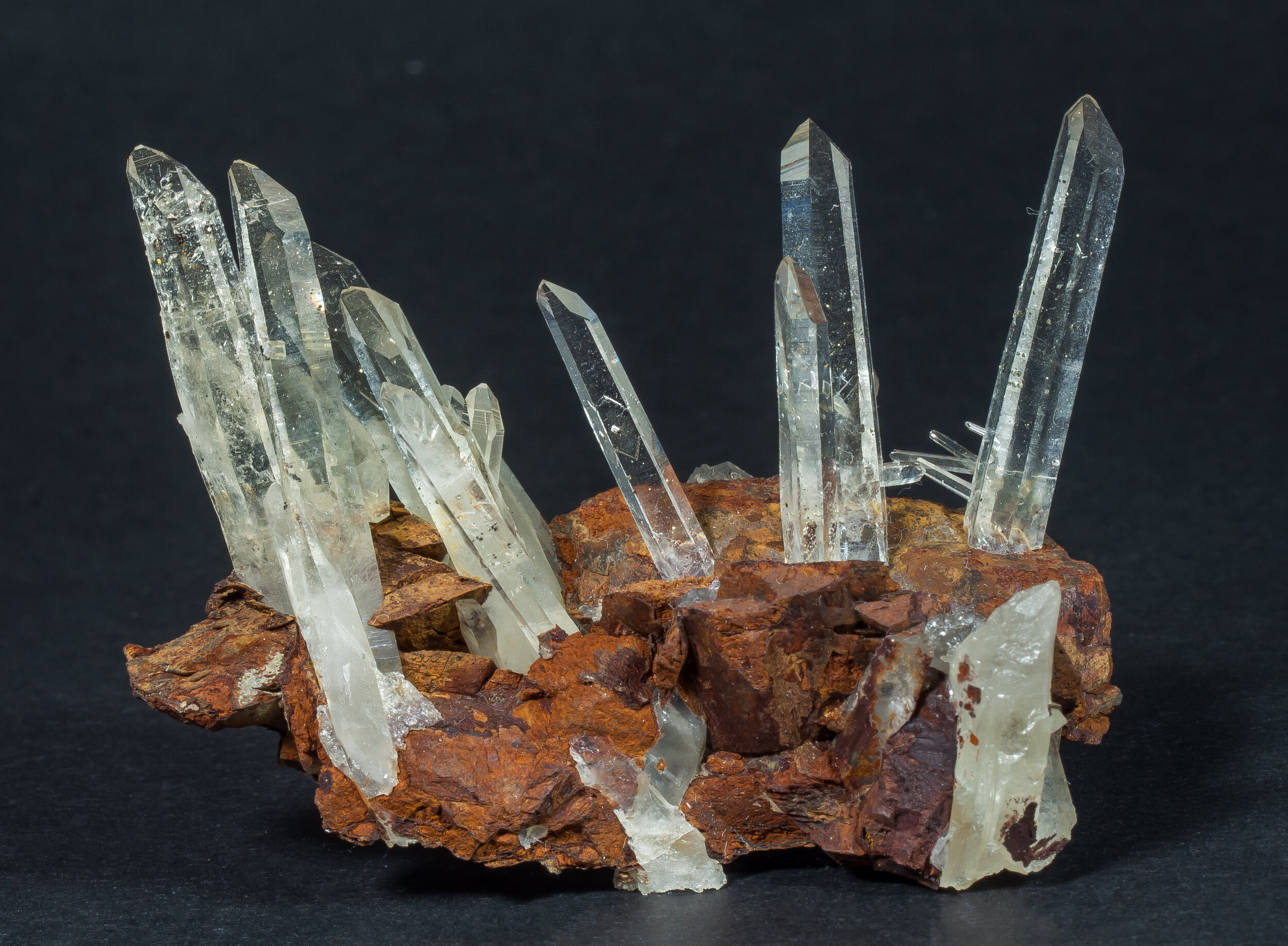 specimens/s_imagesCM/Quartz-16TRF120_f.jpg