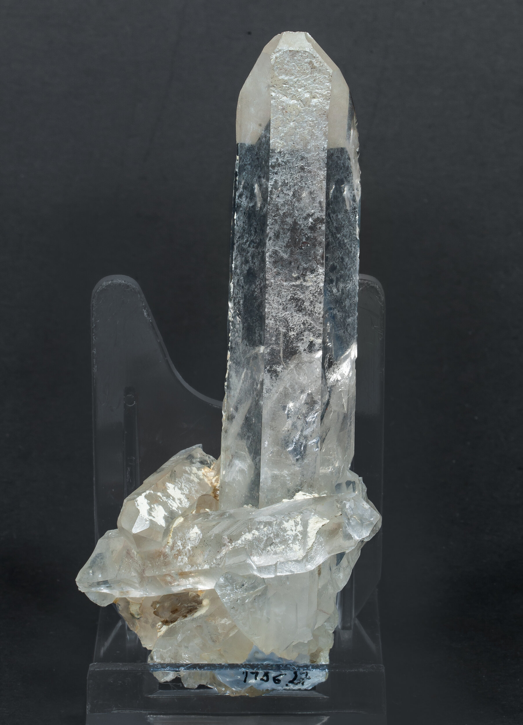 specimens/s_imagesCM/Quartz-17CJ80_r.jpg