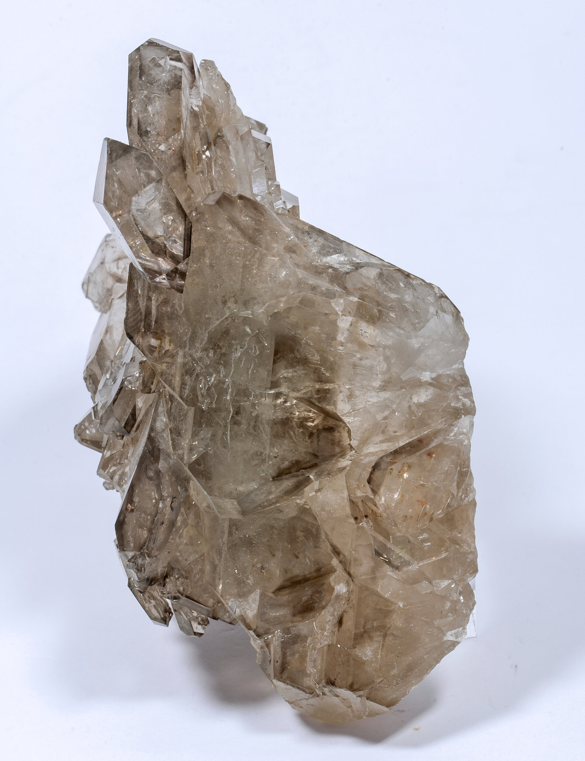 specimens/s_imagesCM/Quartz-MC14XXXf.jpg