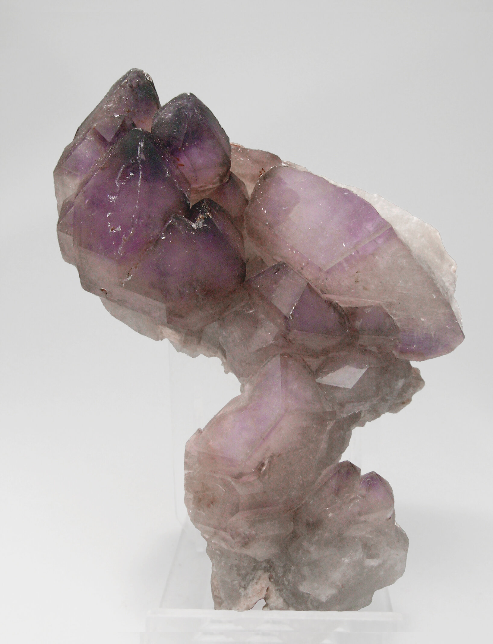 specimens/s_imagesCM/Quartz_Amethyst-9MY17Q1s.jpg