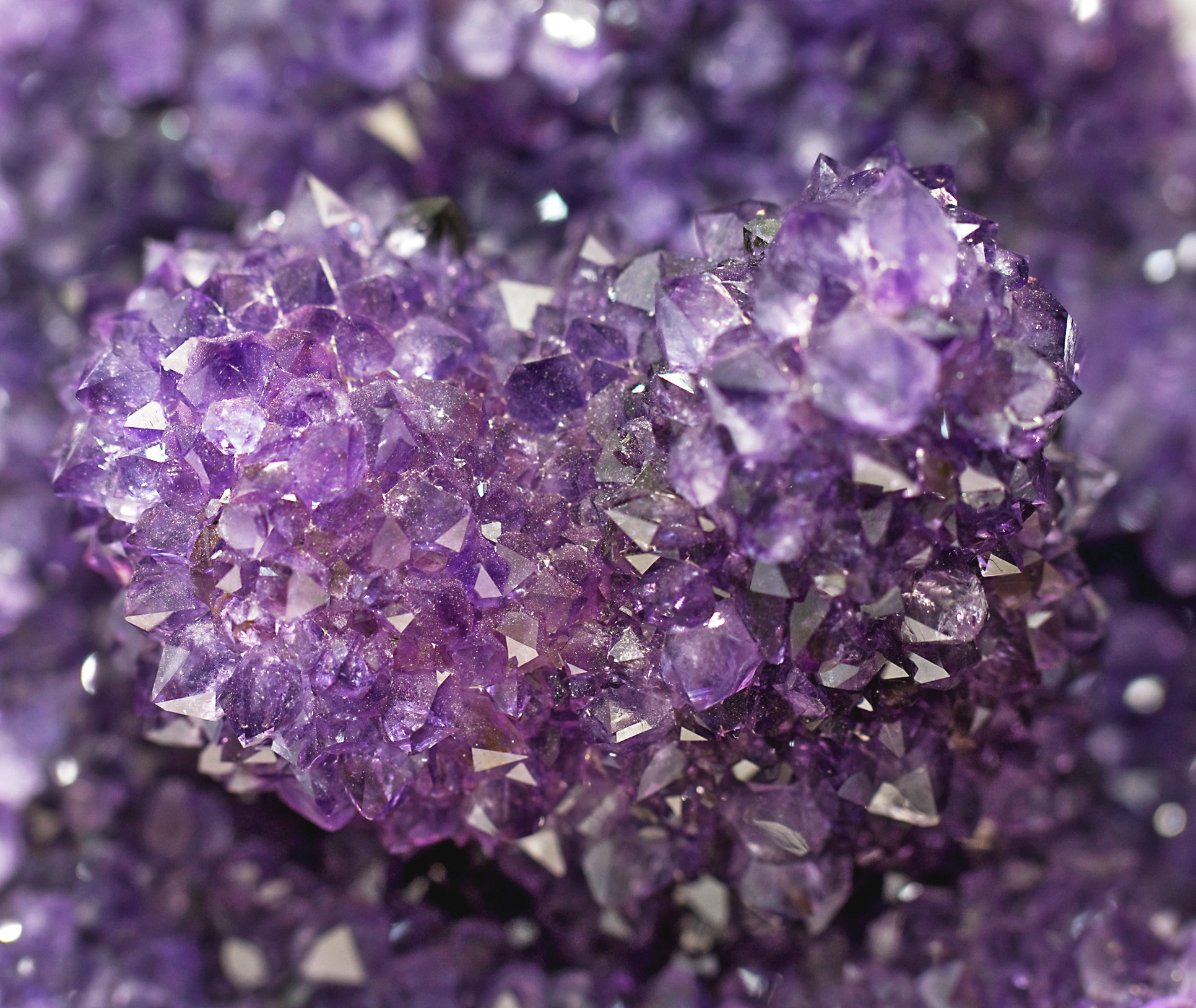 specimens/s_imagesCM/Quartz_Amethyst5ER97R9d.jpg
