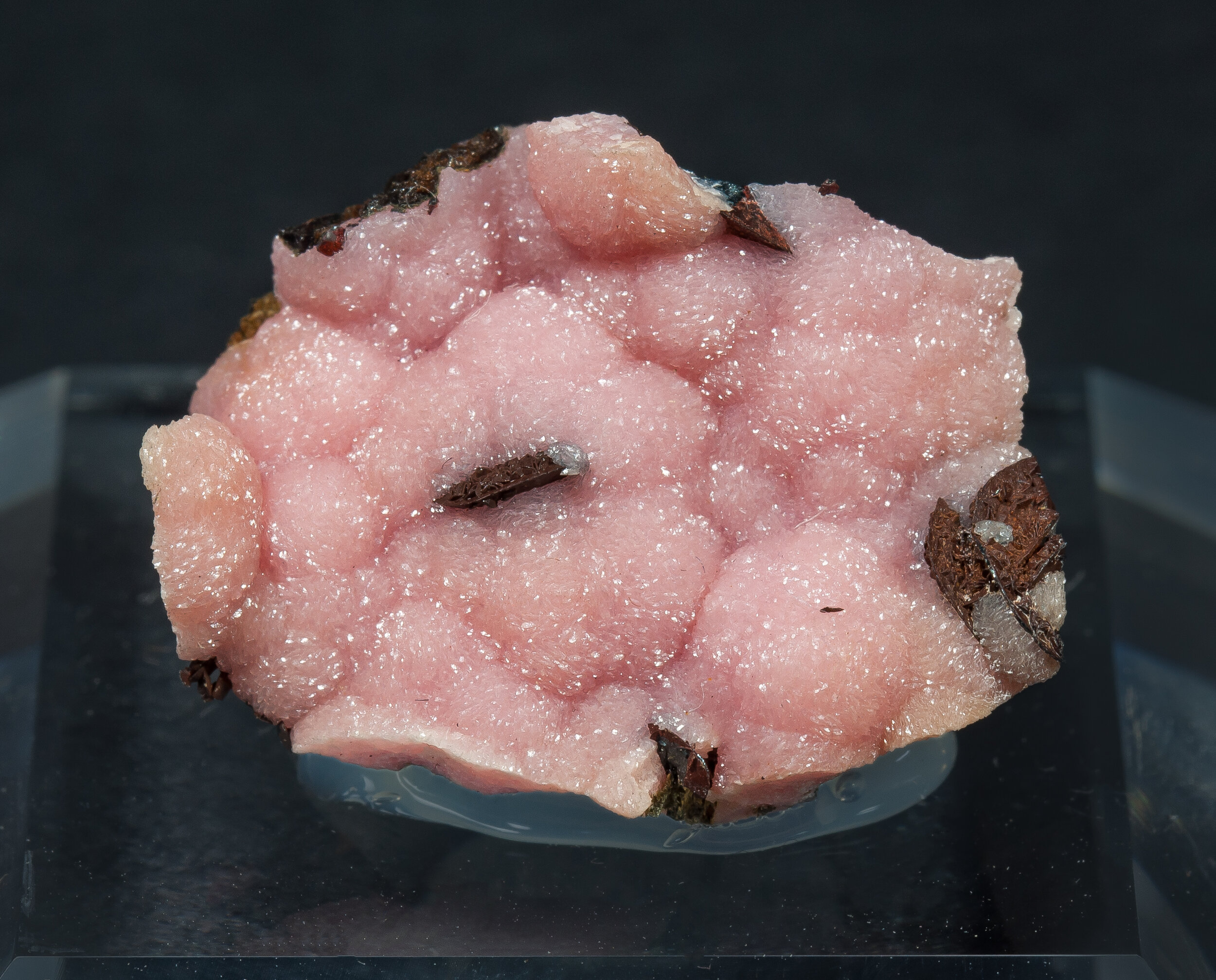 specimens/s_imagesCM/Rhodochrosite-19TFX50_f.jpg