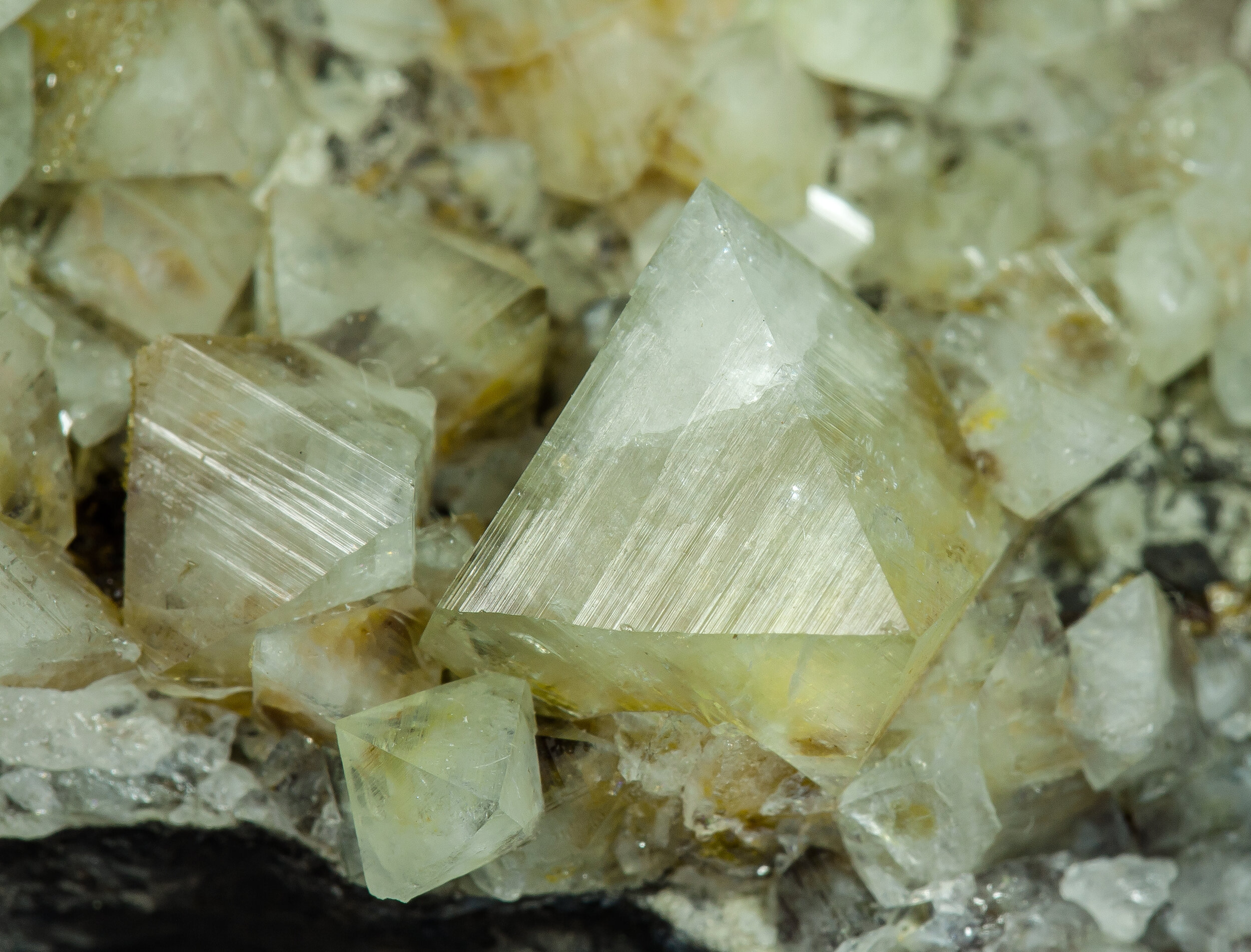 specimens/s_imagesCM/Wardite-18NB90_d.jpg