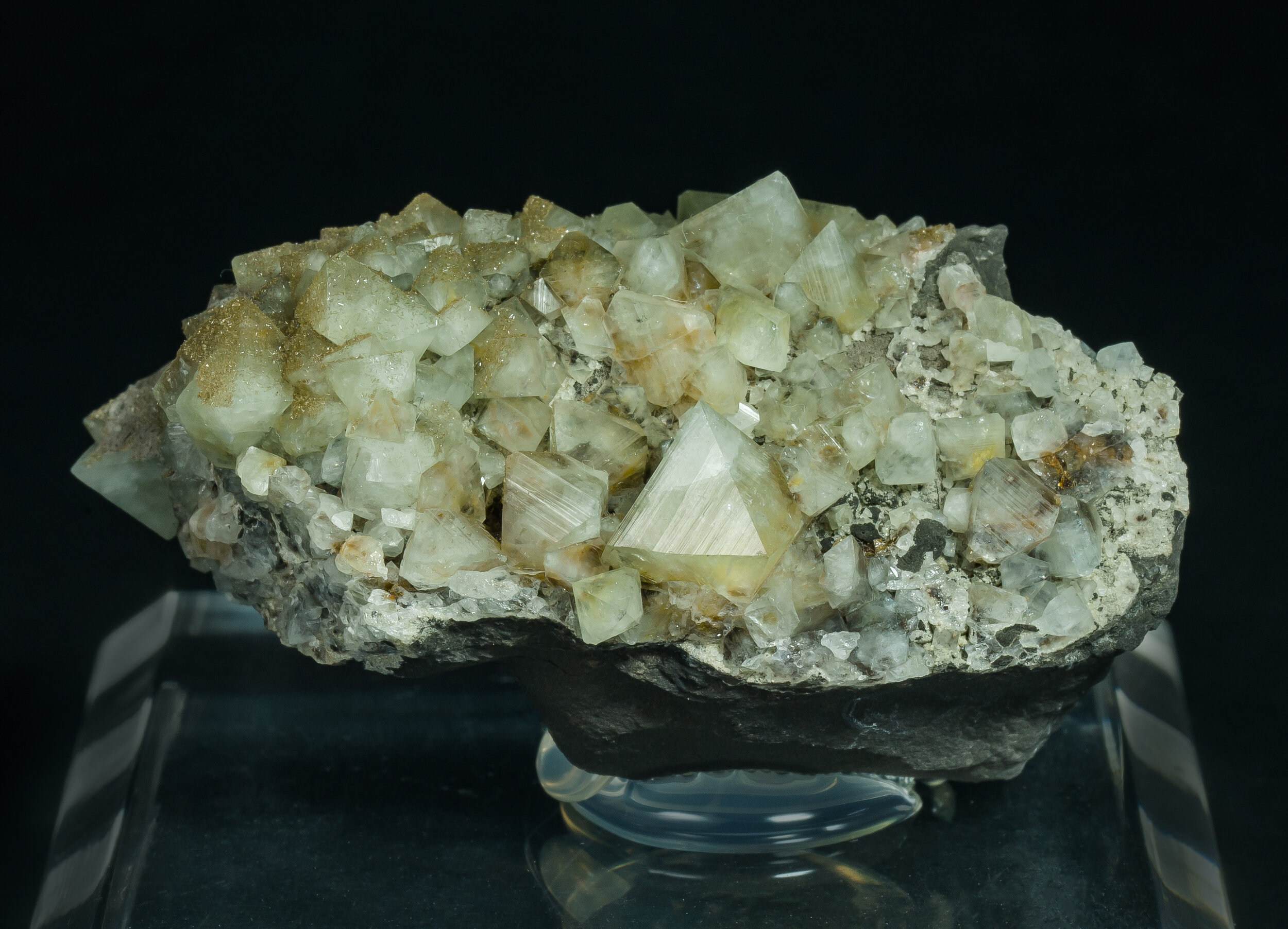 specimens/s_imagesCM/Wardite-18NB90_f.jpg