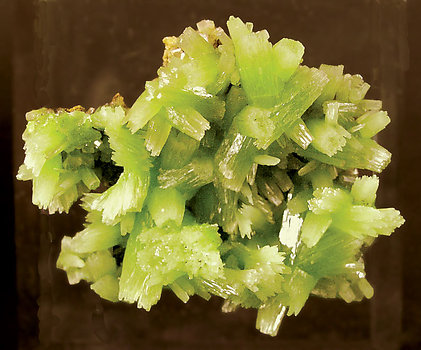 Pyromorphite. 