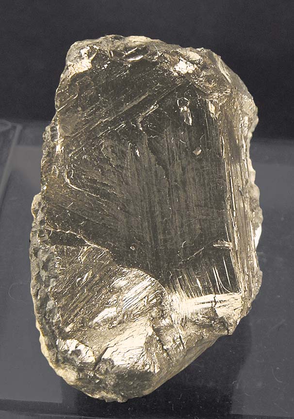 specimens/s_imagesD5/TA16D5f.jpg
