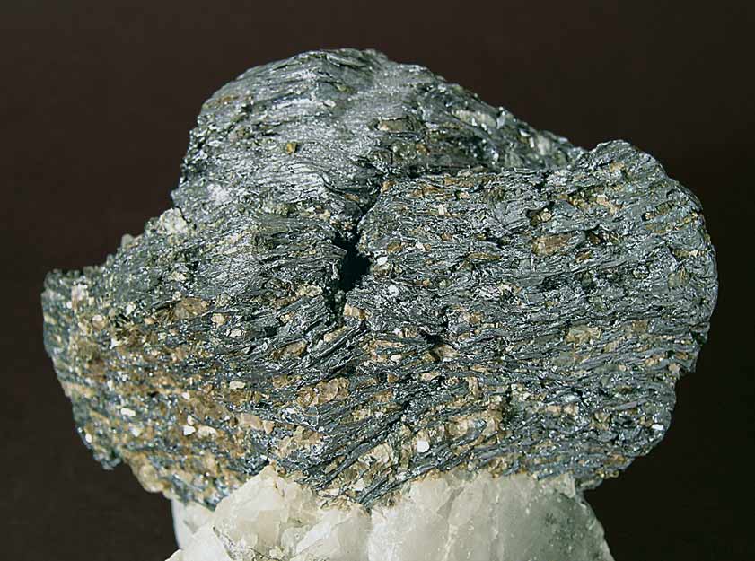 specimens/s_imagesE4/CT97E4d.jpg