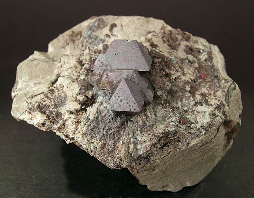 specimens/s_imagesE6/TB17E6f.jpg