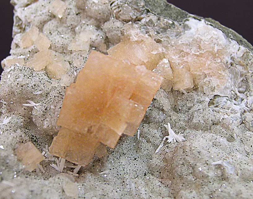 specimens/s_imagesE8/JD76E8d.jpg