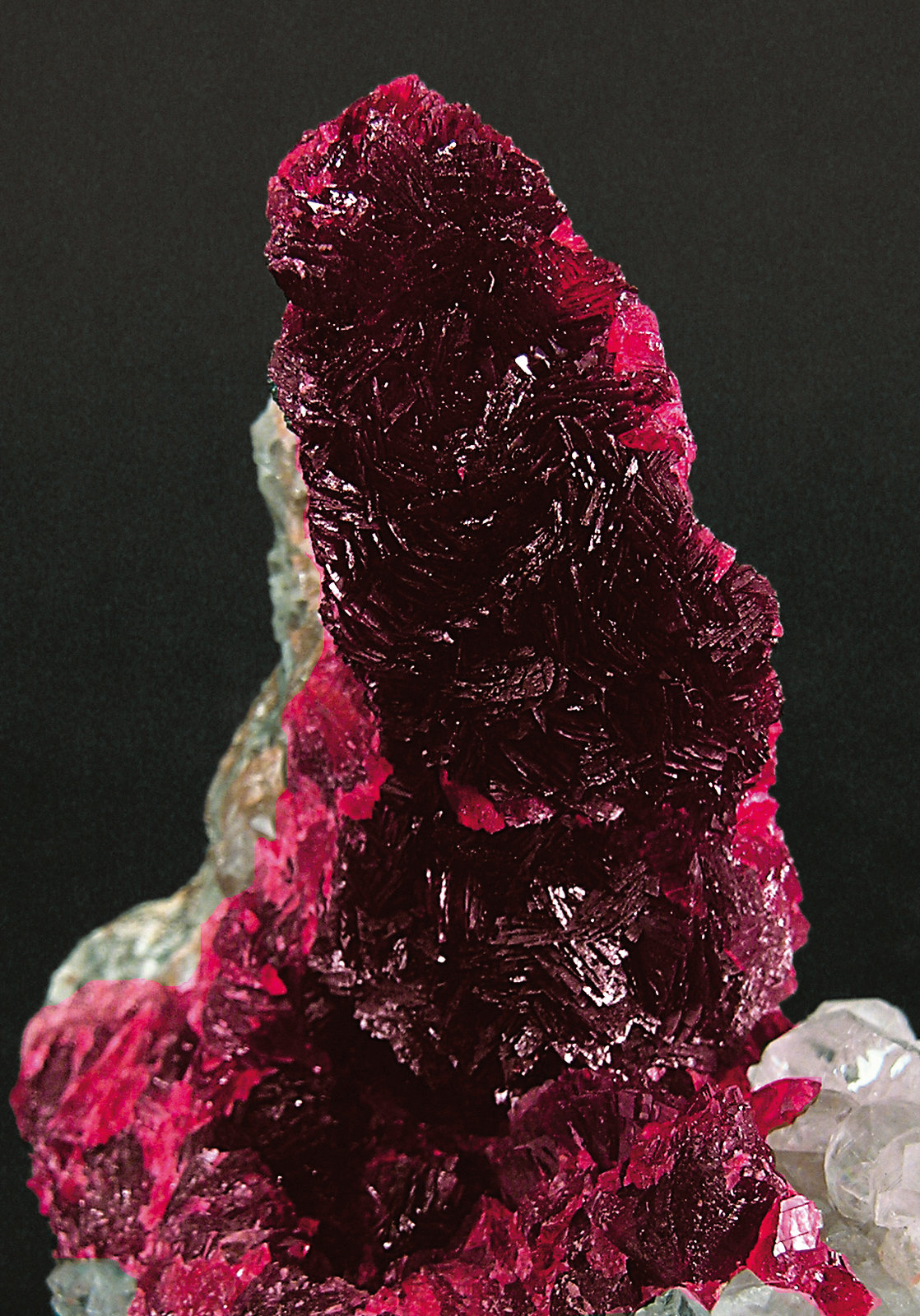 specimens/s_imagesE9/EQ26E9d.jpg
