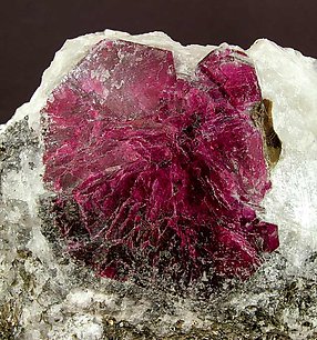 Corundum with Anorthite and Phlogopite. 