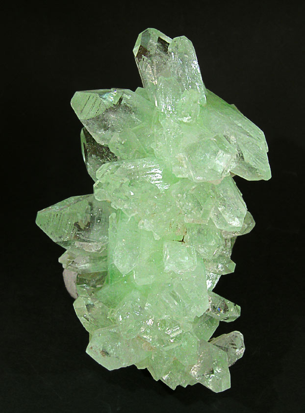 specimens/s_imagesF2/JM97F2f.jpg