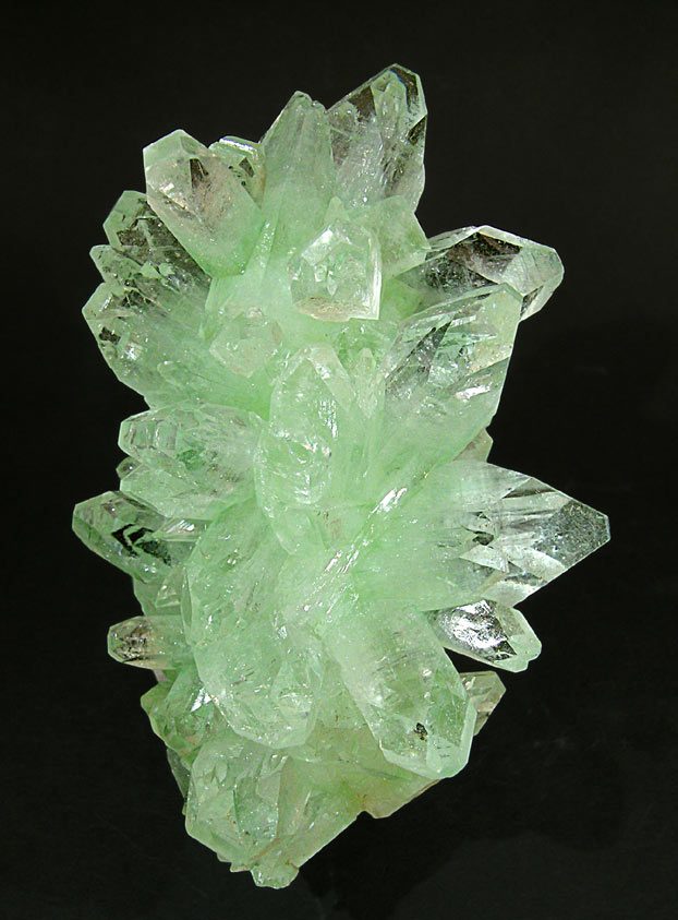 specimens/s_imagesF2/JM97F2r.jpg