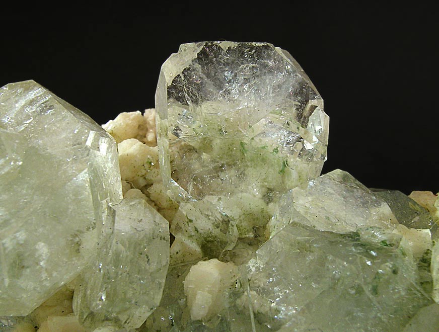 specimens/s_imagesF2/JR6F2d.jpg