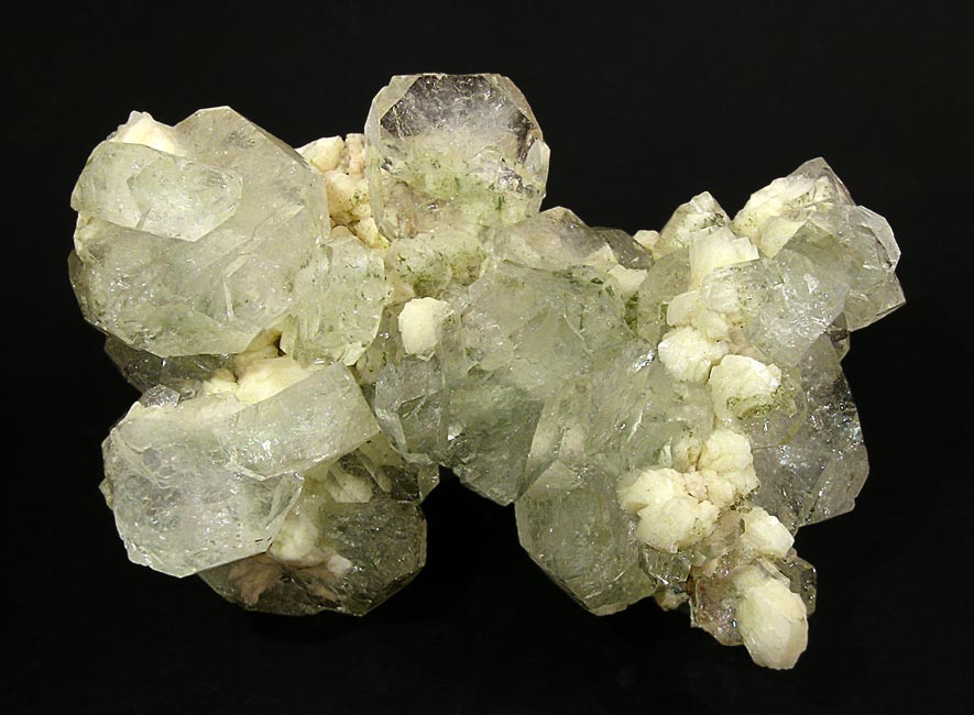 specimens/s_imagesF2/JR6F2f.jpg
