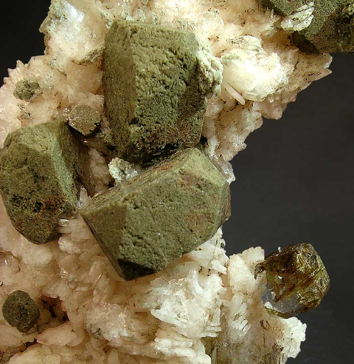 specimens/s_imagesF2/JV47F2d.jpg