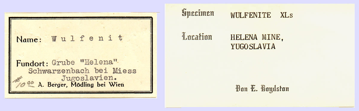 specimens/s_imagesF3/TR89F3e.jpg