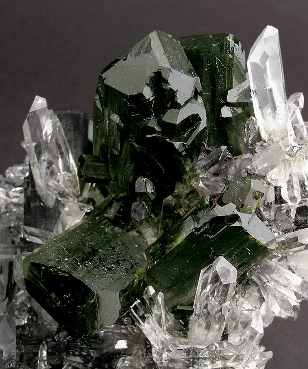 specimens/s_imagesF8R/RZ8F8d.jpg