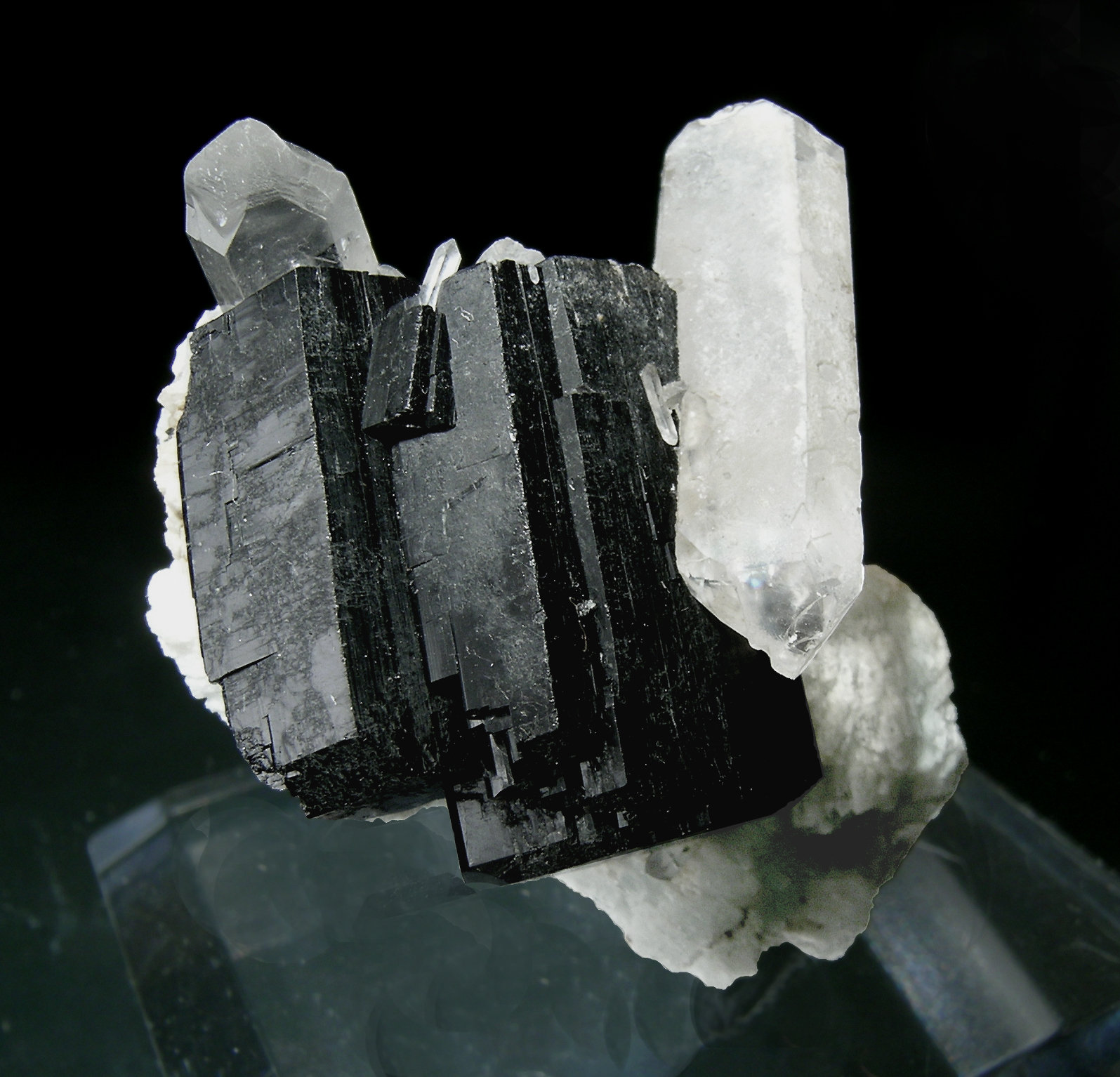 specimens/s_imagesG5/MK94G5f.jpg