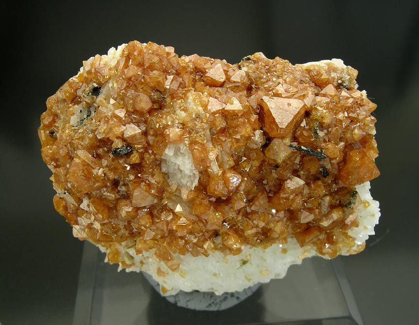 specimens/s_imagesG9/TF99G9f.jpg
