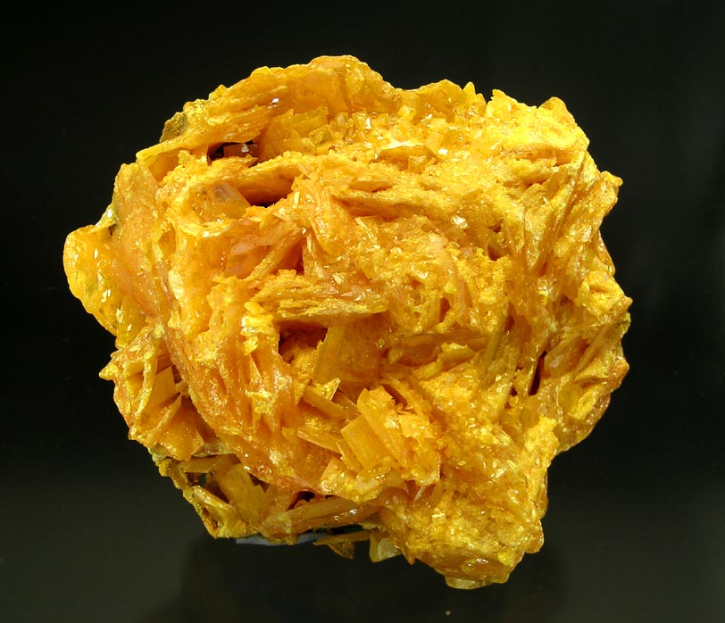 specimens/s_imagesH0RF/RJ38H0r.jpg