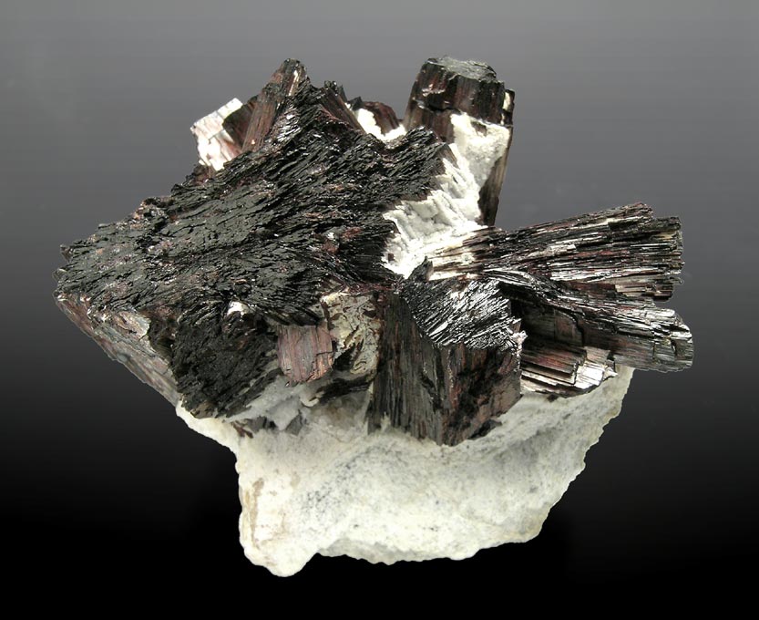 specimens/s_imagesH0RF/RK70H0f.jpg