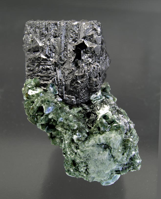 specimens/s_imagesH1/EK68H1s.jpg