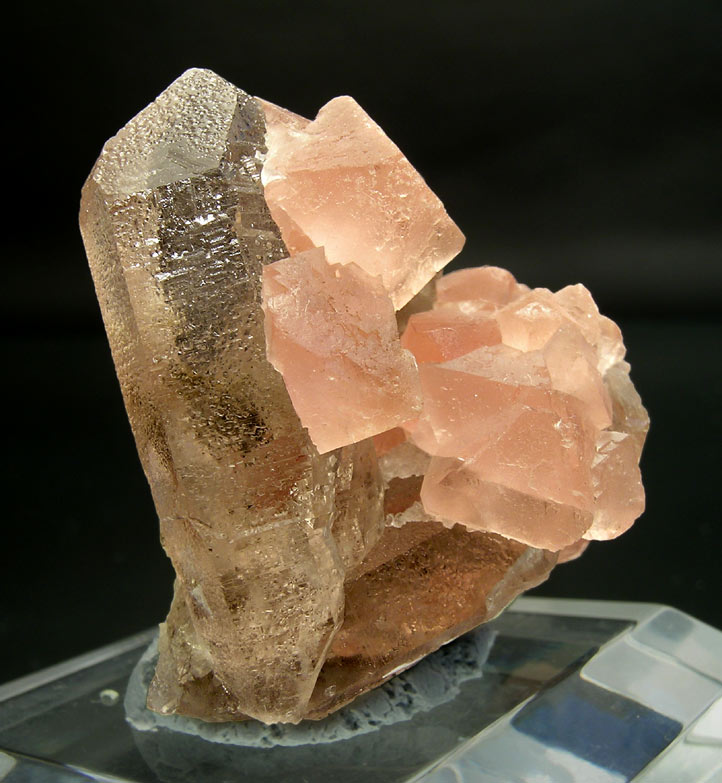 specimens/s_imagesH3/TG69H3s.jpg