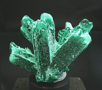 Malachite pseudo Azurite. 