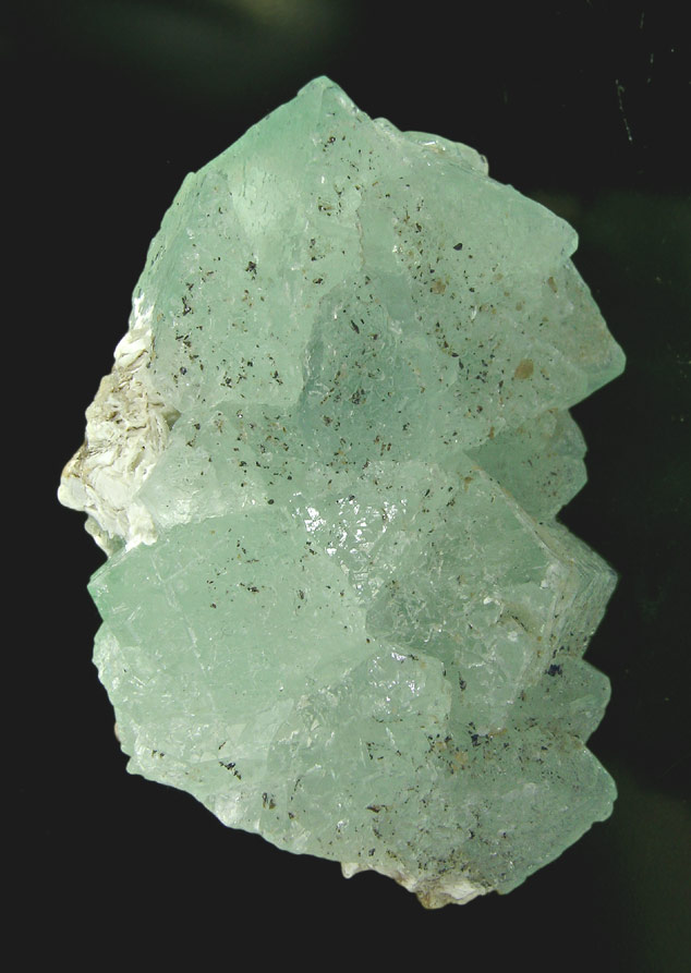 specimens/s_imagesH5/FC6H5.jpg