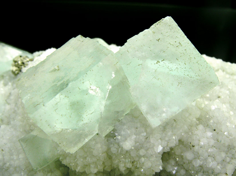 specimens/s_imagesH5/FH36H5d.jpg