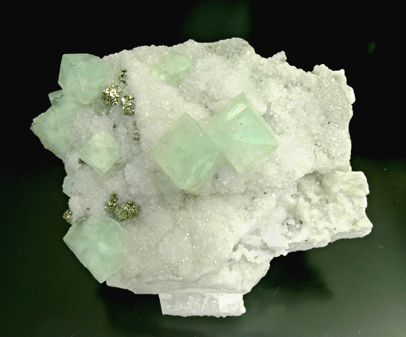 specimens/s_imagesH5/FH36H5f.jpg