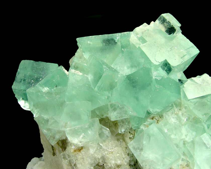 specimens/s_imagesH5/FV87H5d.jpg