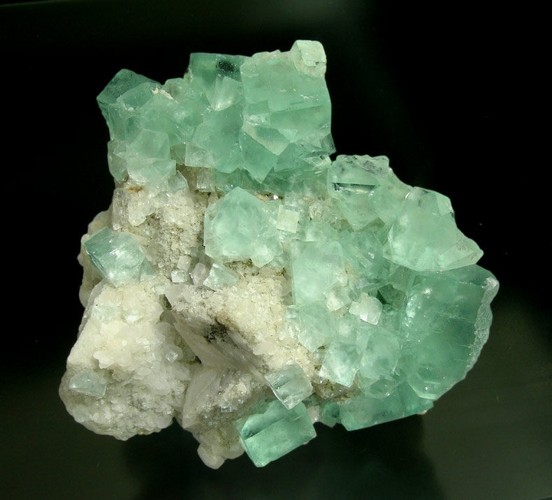 specimens/s_imagesH5/FV87H5f.jpg