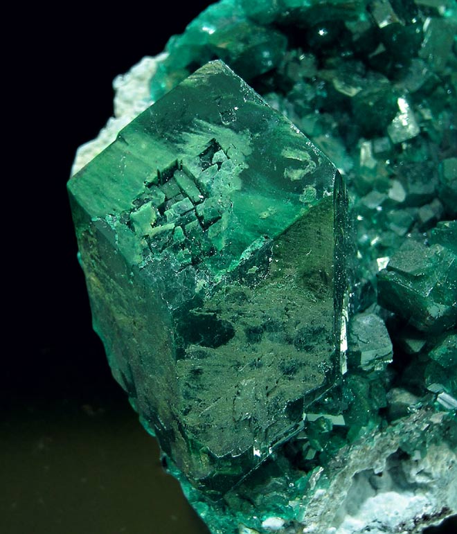 specimens/s_imagesH7/TX16H7d.jpg