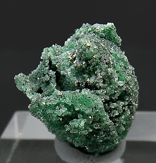 F�sil reemplazado por Berilo (variedad esmeralda). 