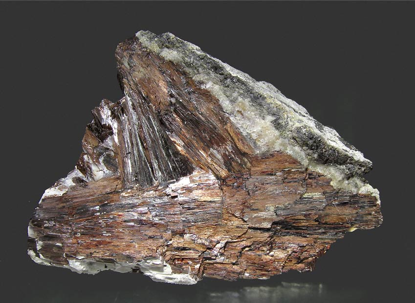 specimens/s_imagesJ1/RT89J1r.jpg